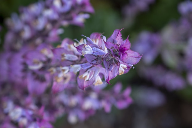 终于过了孕早期 让我来说说我的多囊怀孕一次成功的经历吧 