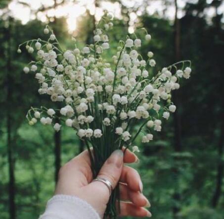 很甜很撩的表白句子 句句都很暖 脱单必备哦！