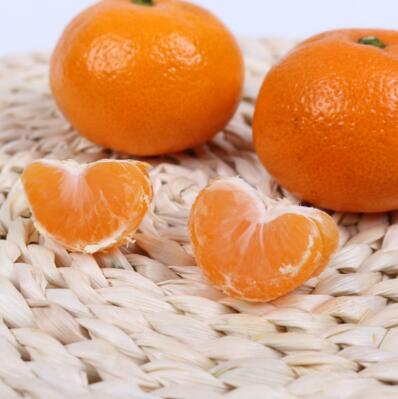 水果营养丰富 老人吃熟水果治病胜过良药