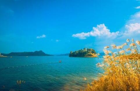 怎样才能长寿-日本长寿村每天必吃4种食物