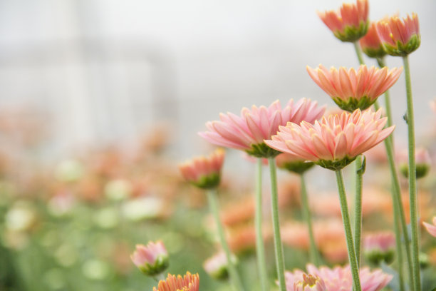 夏季减肥好时机 让你快速减肥的10个好方法