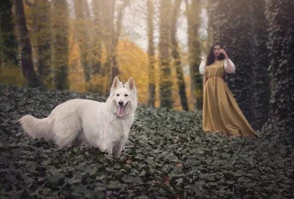 肾虚补肾 哪些食物补益效果比较好好