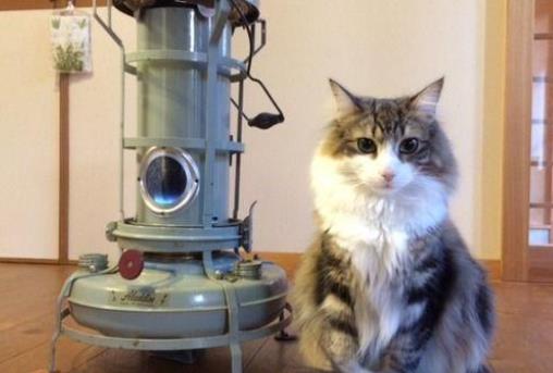 生孩子会改变体质吗 产后如何护理