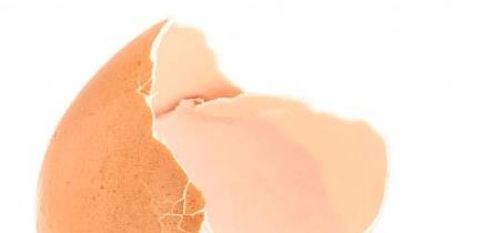 鸡蛋壳有什么用处 合理利用鸡蛋壳变废为宝