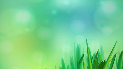 宫外孕发现及保守治疗经历 不想再经历一次 