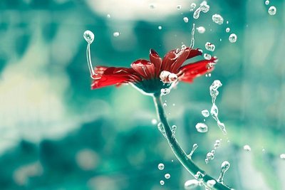 蛋黄派测出酒驾 吃什么食物容易被测出酒驾