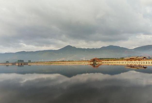 暑假如果去东南亚玩 一定要谨防登革热