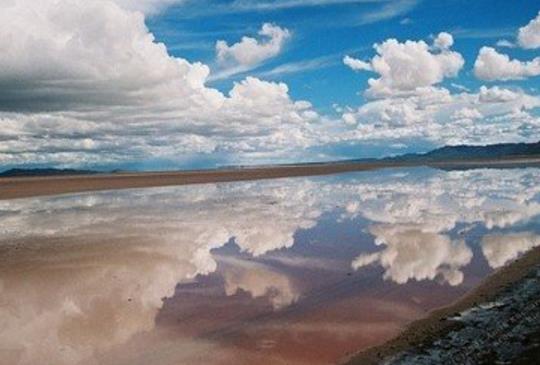 人参皂苷的6大作用 3种吃法滋补身体