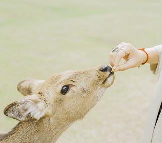 如何辨别孩子感冒和肺炎 小儿感冒跟小儿肺炎的重要性