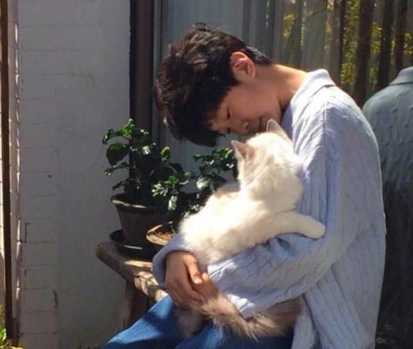 经纪人曝料张亮夫妇为了救儿子喜欢的猫 花了一辆小轿车的钱