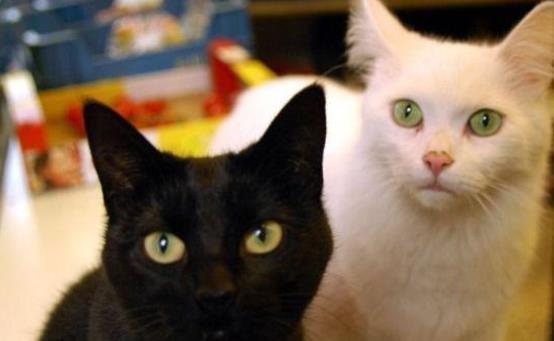 整形手术前必须注意的五大事项及误区