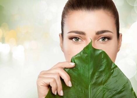 别人拥有的 你只要愿意去付出 一样可以拥有