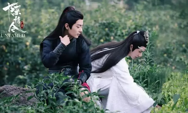 陈情令大火的背后 原因是得腐女者得天下