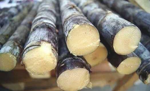 甘蔗补血效果竟然比阿胶还要厉害 甘蔗如何吃更补血？