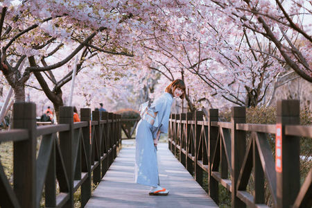 春季老年人养生食谱 这四道美食保健又养生