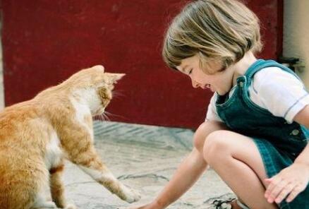 情商低的孩子 通常都会有这五种表现