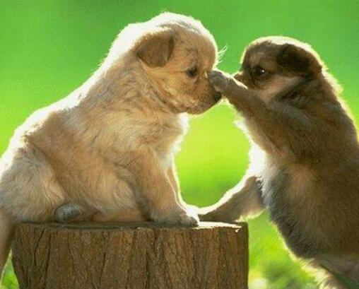 孕期适量补锌益处多 食补是最关键的