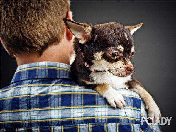 周公解梦 梦见三角恋爱