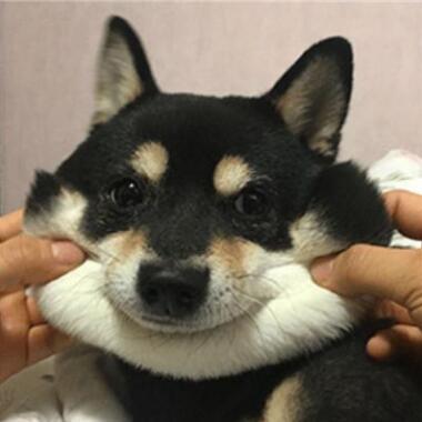 转基因食品到底能不能吃 还要知根知底