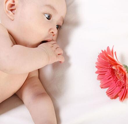 宝宝降生在五彩缤纷的世界 却偏爱红色