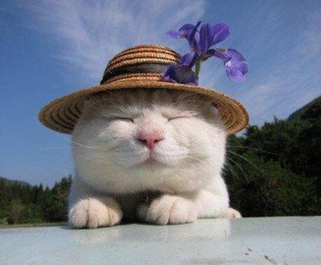 小宝宝是如何辨别妈妈的 比你想象的中更有趣暖心