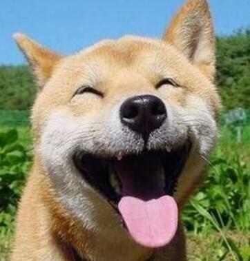 大宝和二宝吵架越来越厉害 可能你忽视了这几个方面