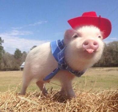 夏季宝宝中暑原因 预防和急救方法 必须Get