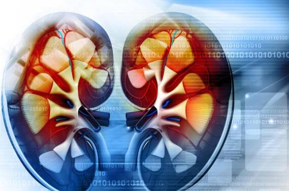 7个原因容易引起肾炎 肾炎患者在以下几个方面稍微留意
