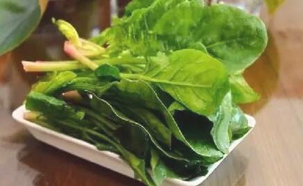 哪些恶习会造成疲劳体质-这12个恶习对身体的危害可真大