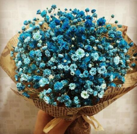 满天星适合送女朋友吗 满天星搭配不同的花的含义有哪些