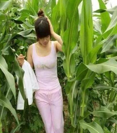 林扬为了生活 给美女做了贴身保镖 在线阅读后续 尼古拉斯赵四