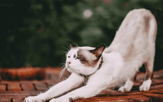 天资聪颖   十二星座中遇事最伶俐的星座