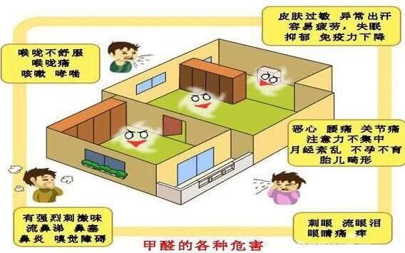 床板有味道是不是有甲醛  甲醛的危害