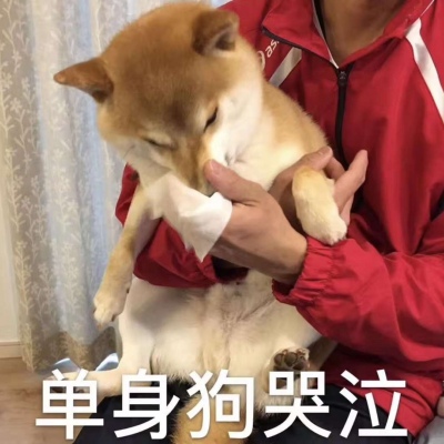 测一测你们的爱情会受到挑拨吗