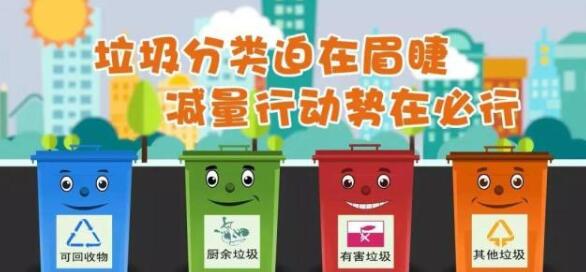垃圾分类不就是从一个桶分成了四个桶 真没这么简单！