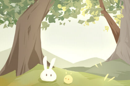 非常好看的电视剧 十部电视剧之烽火佳人