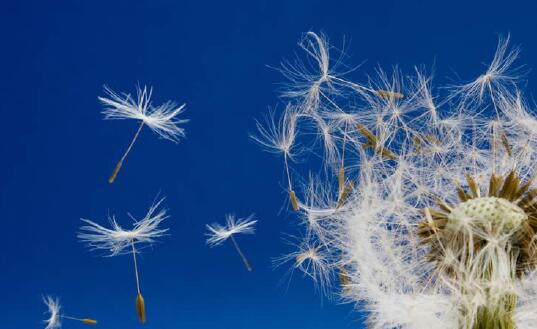 什么是过敏 过敏的原因 怎么不过敏