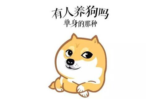 七夕节适合单身狗发的说说 霸道搞笑宣言了解一下