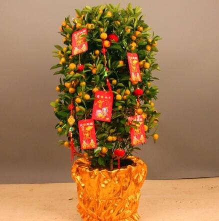 招财 哪些颜色钱包不适合用 什么颜色的钱包最招财聚财