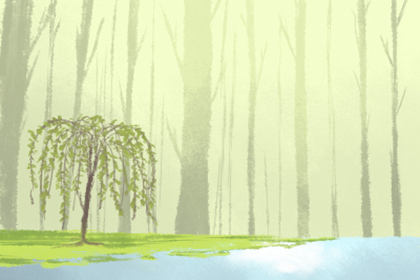 十二星座遇到桃花运的最佳地点 十二星座运势