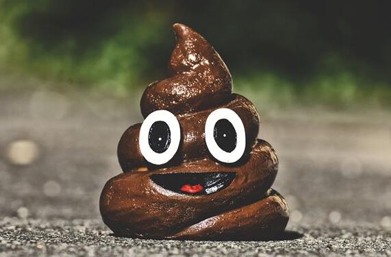 周公解梦 梦见屎沾身上代表了什么 梦见屎到底好不好