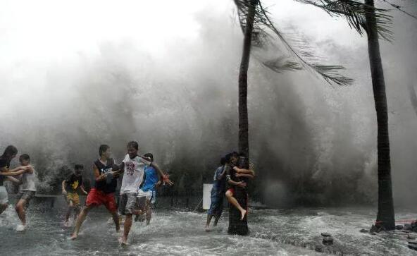 什么是台风 台风的危害有哪些
