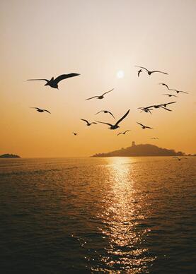 周公解梦 梦见仇人找上门 梦见仇人找上门会预示着什么