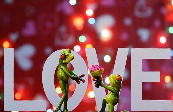 周公解梦 梦见有人追求自己代表什么 你的事业将会一帆风顺