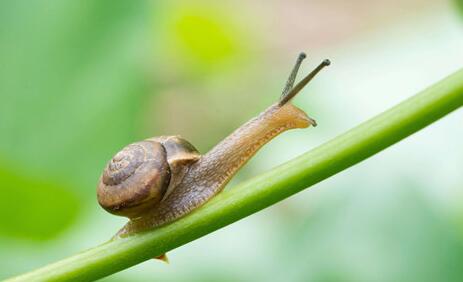 心理测试 你内心最害怕什么 做个测试来寻找答案吧