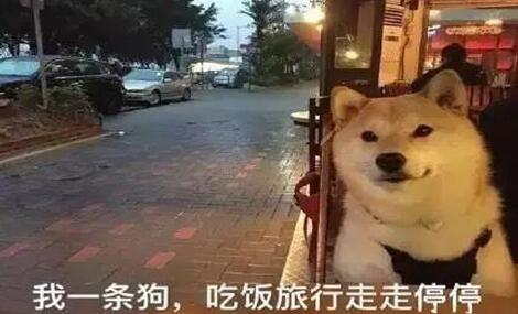 十二星座的情人节朋友圈 果然狮子一如既往地霸气