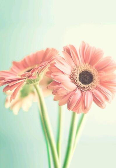 十二星座 4月7日是什么星座 基本特质是什么