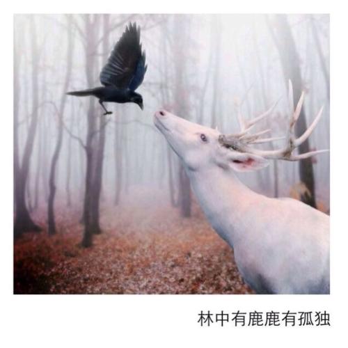 十二星座在皇宫是什么地位 水瓶座多才多艺