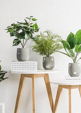 心理测试 你的人生是哪种模式 做个测试你就知道答案了