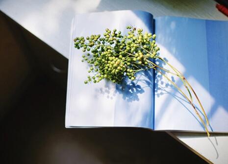 心理测试 接下来三个月你会遇什么好事 你的事业运会好起来